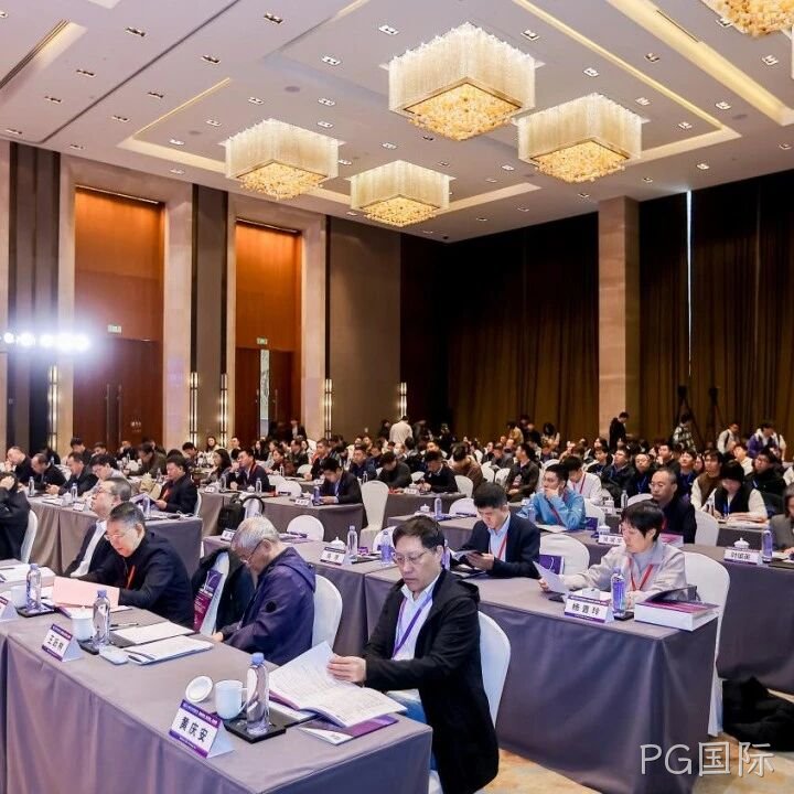 PG国际</a>参加2025智能微系统研讨会