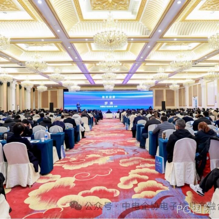 PG国际参加2025年中国电子高峰论坛暨电子信息产融生态大会